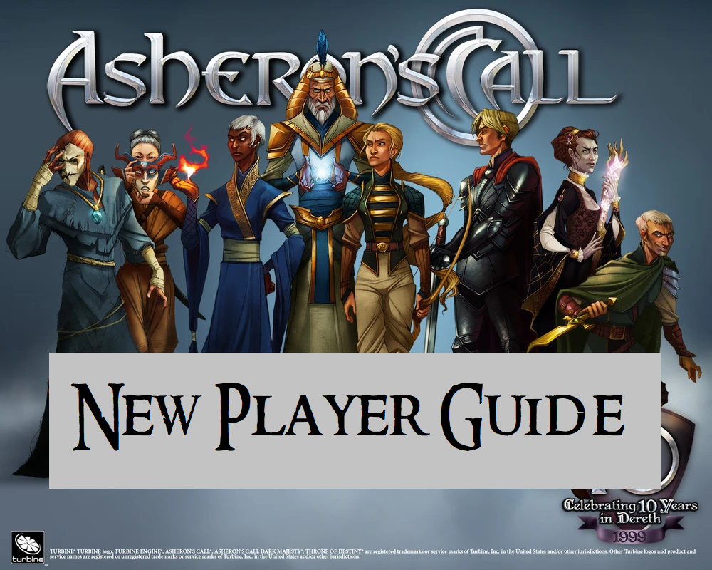 New Player Guide